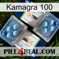 Kamagra 100 viagra5